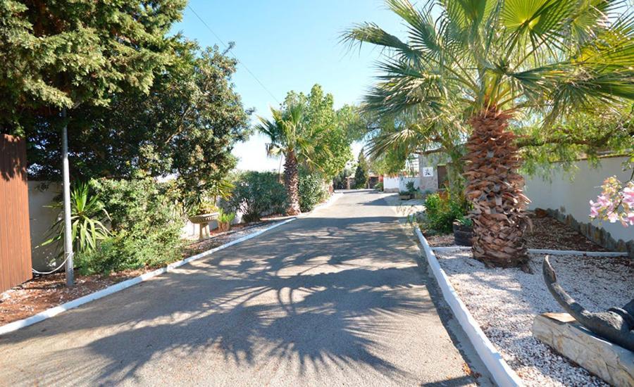 Casas Paqui Y Pablo Con Piscina Compartida En Conil Villa Conil De La Frontera Bagian luar foto
